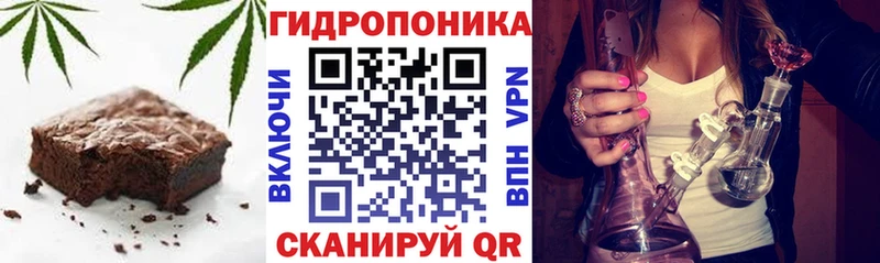 Canna-Cookies марихуана  Купить закладки  Горняк 