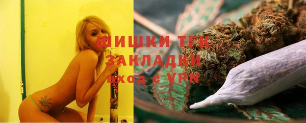 стафф Богданович