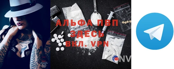 стафф Богданович
