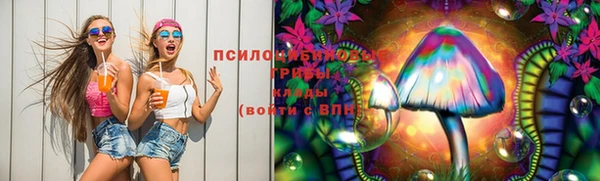 стафф Богданович