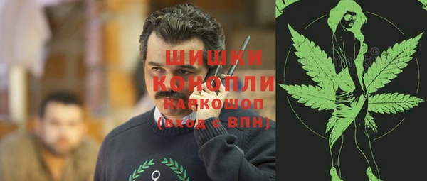 стафф Богданович