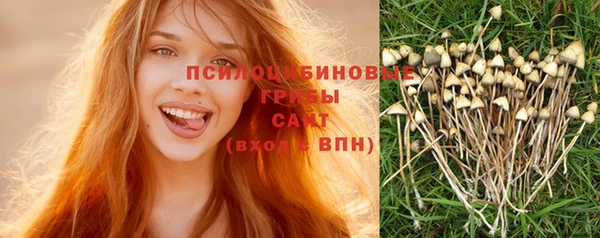 стафф Богданович