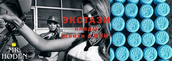ECSTASY Богородицк