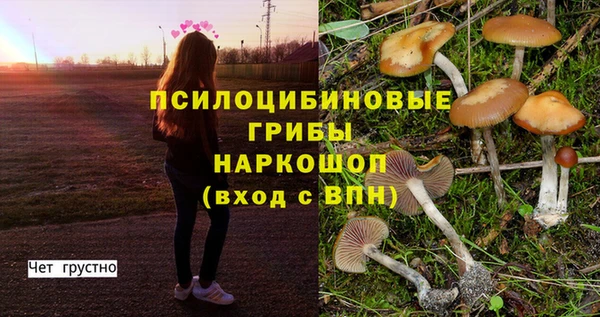 ECSTASY Богородицк