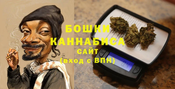 ECSTASY Богородицк