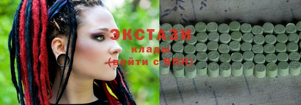 ECSTASY Богородицк