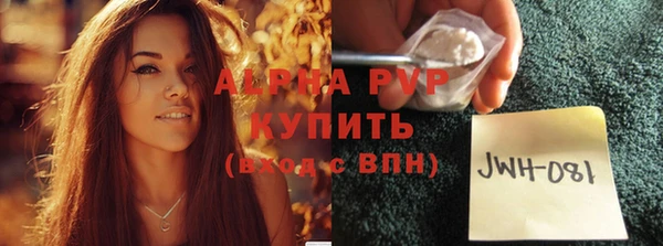 ECSTASY Богородицк
